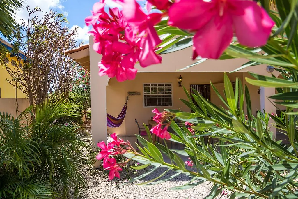 Hôtel Bonaire Exclusief à Playa 0*,